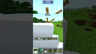 MINECRAFT HACK shortviral minecraft [upl. by Atirres]