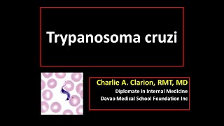 Trypanosoma cruzi [upl. by Aliakam]