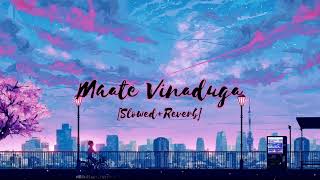 Maate Vinaduga SlowedReverb [upl. by Milton]