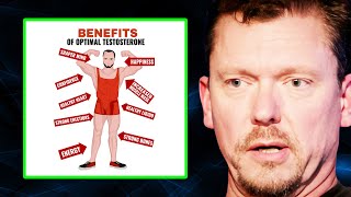 How to Increase Testosterone BOOST Low T Naturally  Dr Ken Berry [upl. by Haelak]