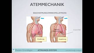 Atmung Atmungsantrieb Medizin Grundlagen Teil 2 [upl. by Lodge]