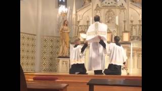 Latin mass In the immaculate conception cathedral in Brownsville TX [upl. by Ashraf]