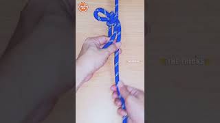 How to tie Knots rope diy idea for you diy viral shorts ep1954 [upl. by Nerek615]