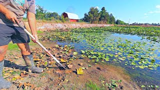 Sealing our Pond Dam with Bentonite Clay and Getting Rid of Lily Pads [upl. by Takeo]