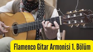 Flamenco Gitar Armonisi 1º BölümTaylan Polat quotFlamenturcoquot [upl. by Eniamraj]