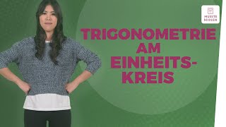 Trigonometrie anschaulich erklärt I musstewissen Mathe [upl. by Klusek]