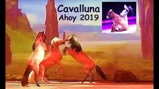 Uitgebreide samenvatting CAVALLUNA  Paardenshow in Ahoy Rotterdam [upl. by Noired774]