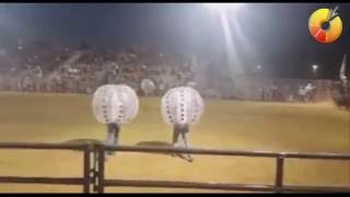 Bulls playing HUGE ball on RODEO [upl. by Senaj]