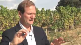 WineSenseTVcom Chateau dYquem in Sauternes France with Pierre Lurton [upl. by Oemor572]