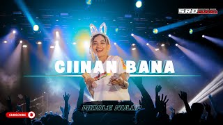 DJ CIINAN BANA  JINGLE SRD AUDIO FT MAS DAVA REMIX [upl. by Kelson417]