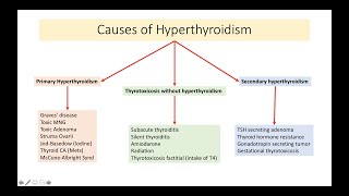 Causes of Hyperthyroidism [upl. by Sparrow]