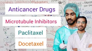 Anticancer Drugs  Microtubule Inhibitors  Paclitaxel  Docetaxel [upl. by Chesney885]