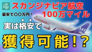 【たった〇〇万円で達成可能⁉︎】スカンジナビア航空 100万マイル は格安で 獲得 可能！SAS スカイチーム SkyTeam [upl. by Hacker]