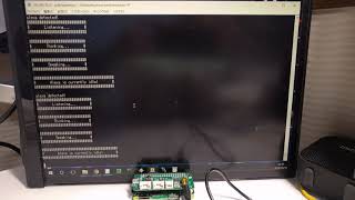 Raspberry Pi Zero W with ReSpeaker 2Mics Hat running Google Assistant and Alexa simultaneously [upl. by Skyla158]