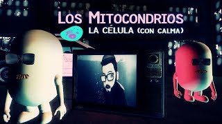 Los Mitocondrios  La Célula Con Calma [upl. by Kwasi445]