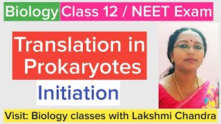 Translation in Prokaryotes Initiation  Class 12 Biology  NEET Biology [upl. by Eemaj]