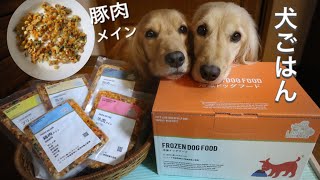 【犬ごはん】冷凍ドッグフード豚肉メイン食べてみた！ASMR 咀嚼音 [upl. by Allebram]