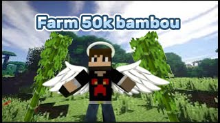 jfarm 50k bambou car voilà jsp pk [upl. by Acirre]