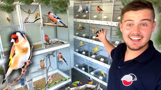 My Bird Breeding Set Up FULL TOUR [upl. by Imhskal]