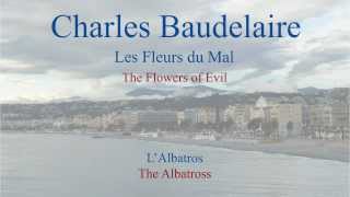 French Poem  LAlbatros by Charles Baudelaire  Slow Reading [upl. by Aynat994]