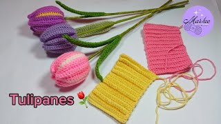 tulipanes dos colores🌷tejidos a crochet⚘️fácil y sencillo de hacer ⚘️🫶tejidosacrochet crochet [upl. by Xineohp]