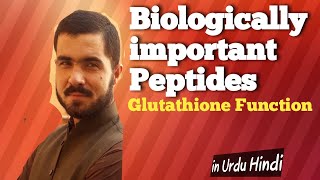 Biologically important peptides in Urdu by Dr Hadi [upl. by Mccowyn803]