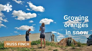 Nebraska retiree uses earthss heat to grow oranges in snow [upl. by Lyrrehs]