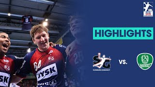 SG FlensburgHandewitt vs HBW BalingenWeilstetten  Die Highlights  Saison 202324 [upl. by Dud899]