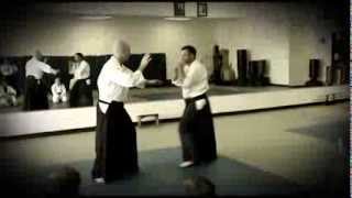 Boaz Aikido Arm Deflections for Modern Attacks [upl. by Festatus535]