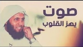 القران الكريم بصوت الشيخ منصور السالمي راحة لاتوصف قبل النوم [upl. by Ynots]