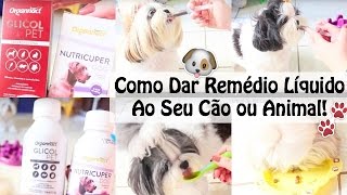 3 Formas Fáceis de Como Dar RemédioMedicaçãoSuplemento Líquido Ao Seu Cachorro Ou Pet ๏ Lói Cúrcio [upl. by Yeltnerb63]