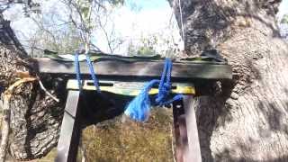 astv OAK TREE DEER STAND DIY how to bow hunting [upl. by Vincenty]