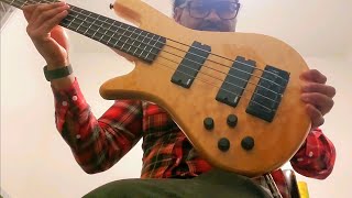 Spector Legend 5 Classic Bass Modded with EMGs Demo Review Tone Check [upl. by Novyak]