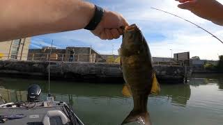 First Time fishing the Des Plaines River  A smorgesboard of fish [upl. by Hsirehc]