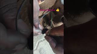 Volkswagen polo ac compressor clutch failure 🚗🚗🚗🚗 automobile mechanic [upl. by Asseralc756]