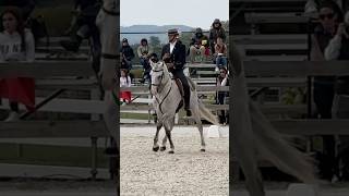 European WE Championship 🇨🇿lusitano Istambul amp Bruno Pica 2024 dressage 🥈horse equitation [upl. by Eiknarf]