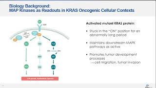 Innovative Approaches to Investigating KRAS Therapeutics with Biochemical and Cell Based Assays 2 [upl. by Sharman]