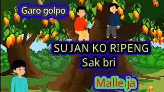 Sujan na ripeng sak bri tegat chu chana onja  garo cartoon Video  Garo golpo [upl. by Cordelia]