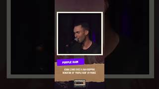 Purple Rain rendition by Adam Levine prince purplerain [upl. by Corie]