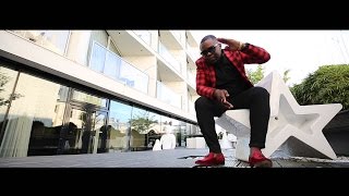 DJ Evra  Né pour briller Clip officiel [upl. by Pelligrini]