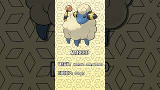 🐑 Etimología Pokémon MAREEP FLAAFY y AMPHAROS 🐑 [upl. by Zampino547]