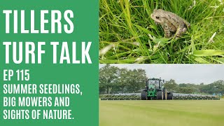 Summer Seedlings Big Mowers and Sights of Nature  Tillers Turf Talk Ep 115 [upl. by Arianna]