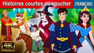 Histoires courtes au coucher  Histoire Pour Sendormir  Contes De Fées  Histoire Pour Dormir [upl. by Whale]