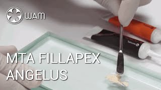 Traitement endodontique avec le MTA Fillapex dAngelus [upl. by Greenberg]