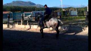 Caballo Nubarron Centro ecuestre Vega Baja Rogelio Granados Chauchina Granada [upl. by Hgeilyak]