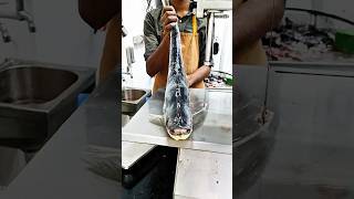 Black sea selong fish cutting amazing giant river sea fish cutting skills fishlaver shorts fish [upl. by Oliver]