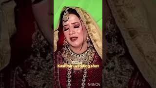 Kashmiri wedding wedding beautiful kashmiriweddingsongs weddingentry trending reels baby [upl. by Levinson]