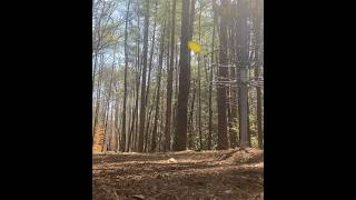 Disc Golf Frustrations Near Miss of a Hole in One [upl. by Eelek]