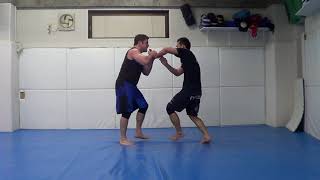 REAL Wristlocks used vs Pro MMA Fighters Aikido amp Systema UFC Fight Atlanta Stunts Daniel Theodore [upl. by Neelcaj376]