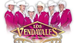 Los Vendavalez De Adan Cumbias El Cafetal Carmelita [upl. by Ynottirb]